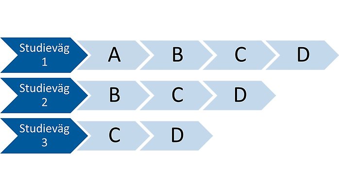 sfi studievägar